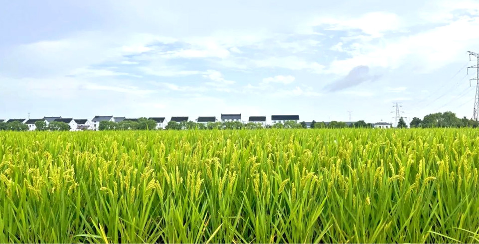 威澳门尼斯人4886