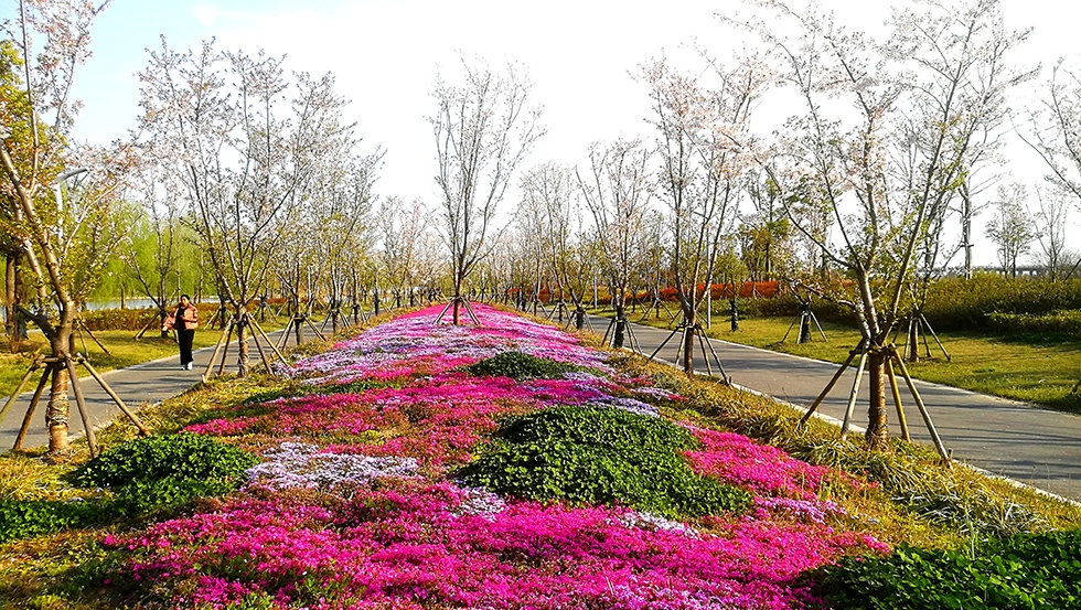 威澳门尼斯人4886