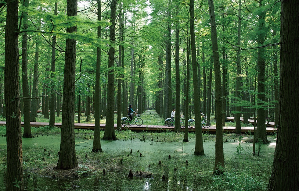 威澳门尼斯人4886