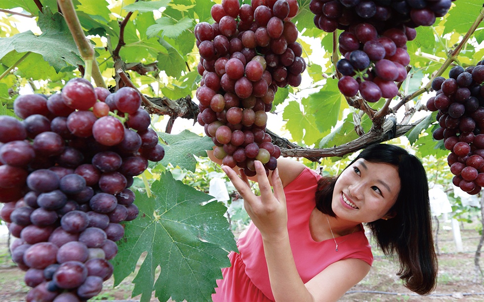 威澳门尼斯人4886