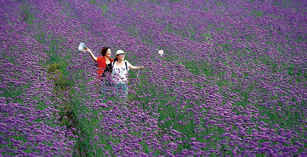 威澳门尼斯人4886