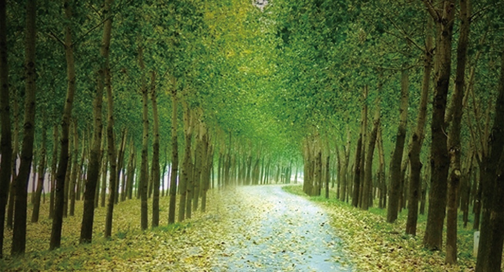 威澳门尼斯人4886