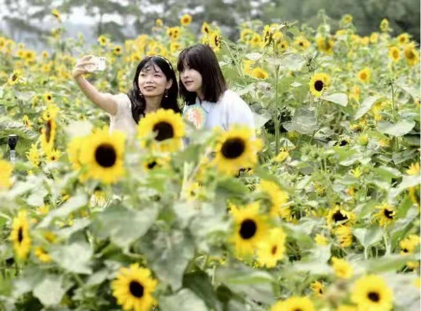 威澳门尼斯人4886