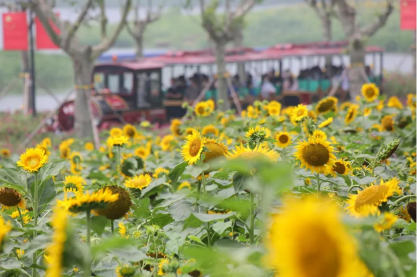 威澳门尼斯人4886