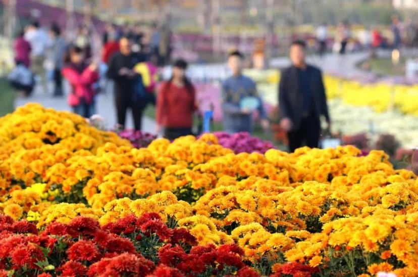 威澳门尼斯人4886