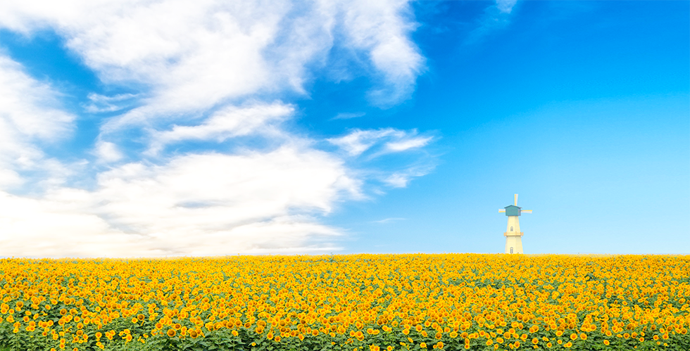 威澳门尼斯人4886