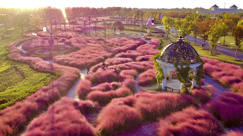 威澳门尼斯人4886