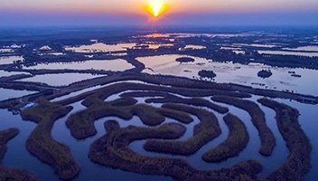 【景区风采】冬日白马湖湿地芦苇金黄 俯瞰宛如迷宫