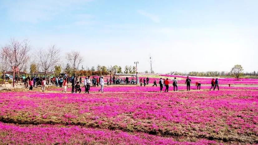 威澳门尼斯人4886