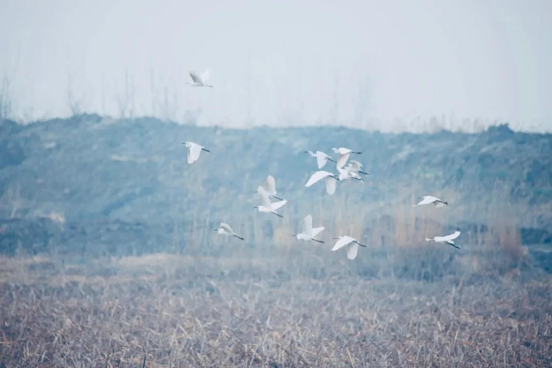 威澳门尼斯人4886