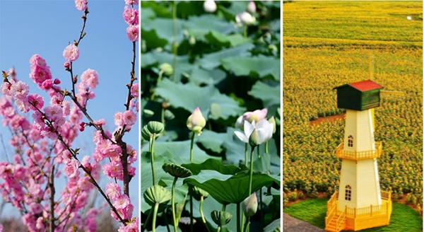 诗画文旅，二十四节气里的“淮”式浪漫