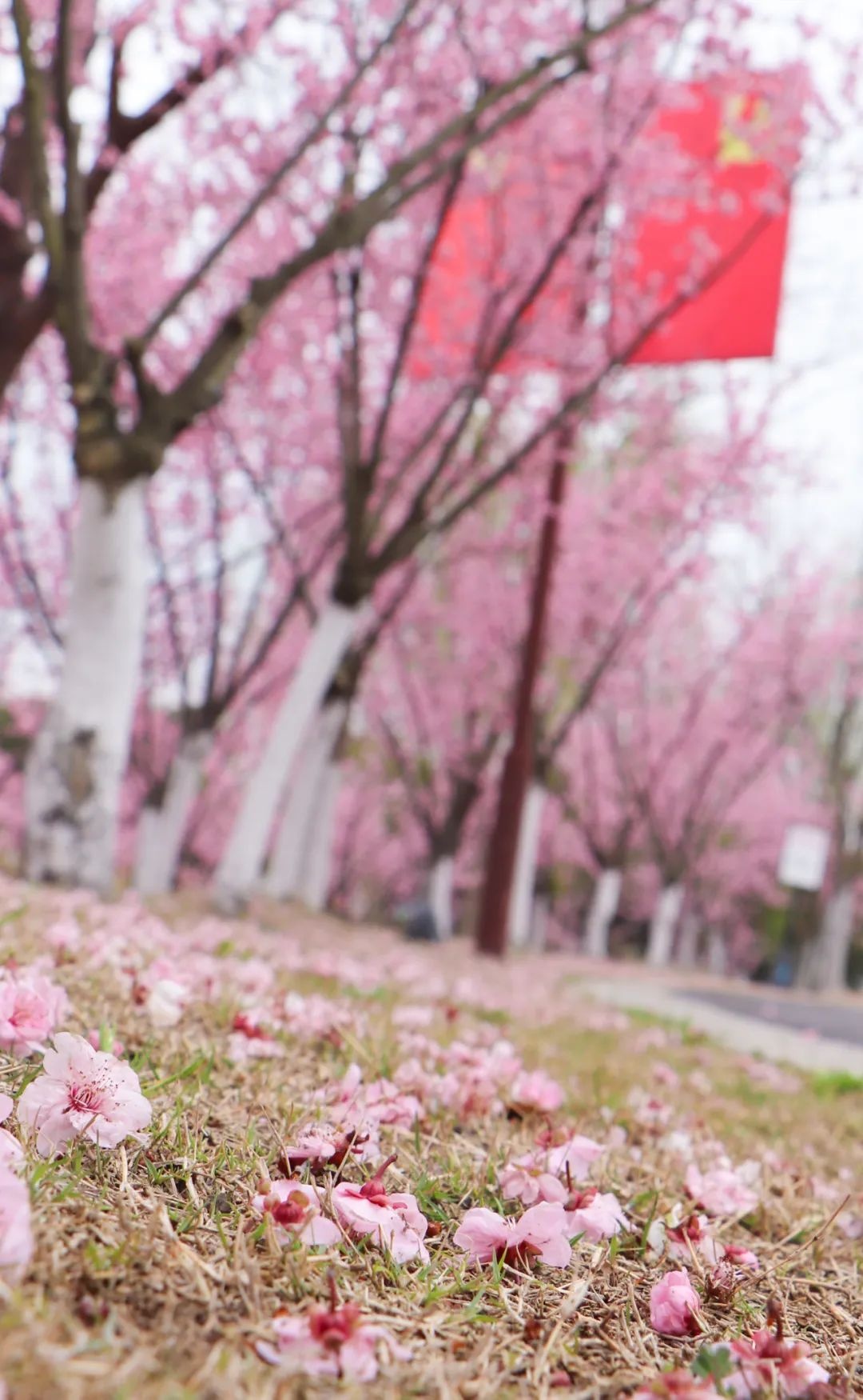 威澳门尼斯人4886