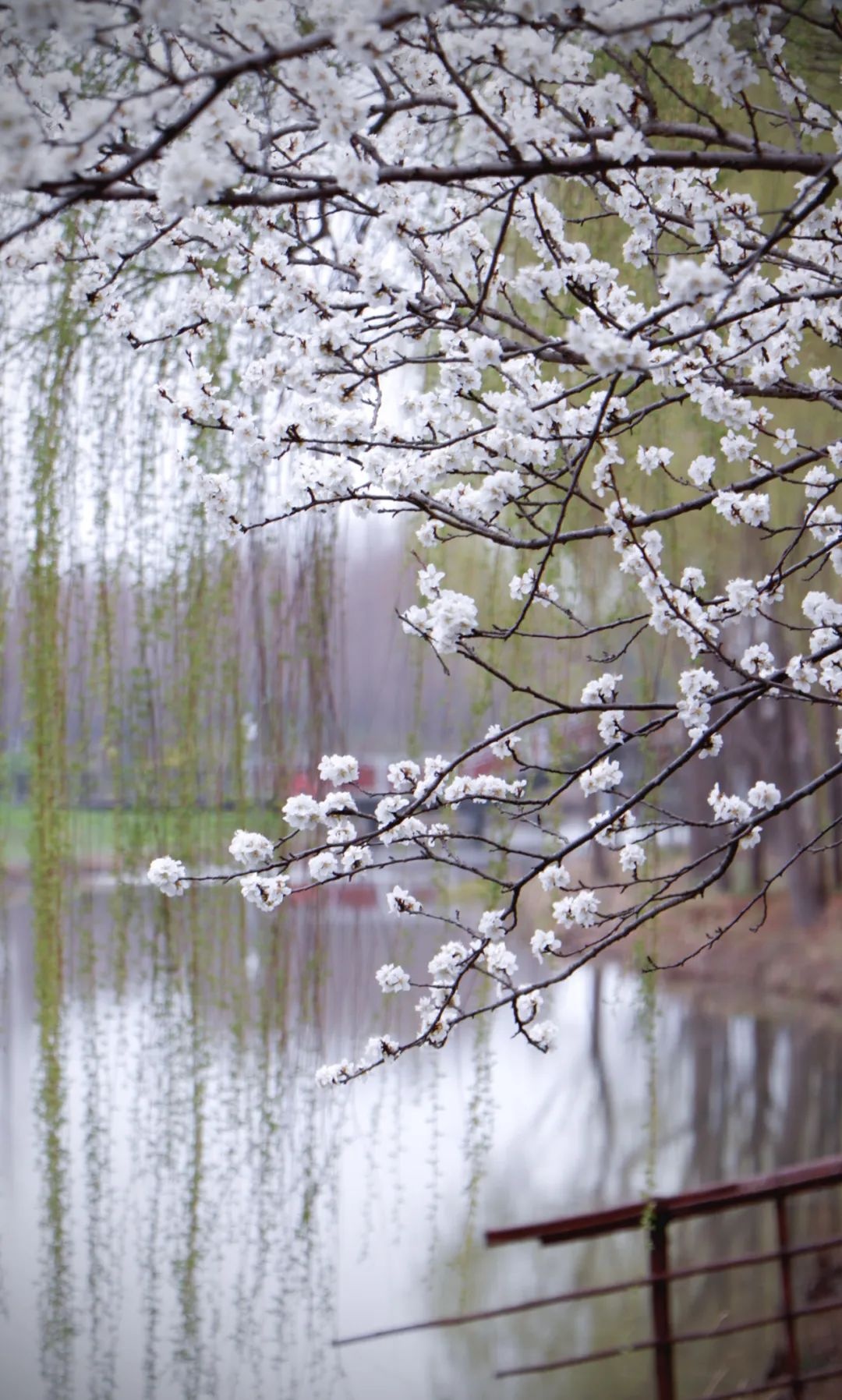 威澳门尼斯人4886