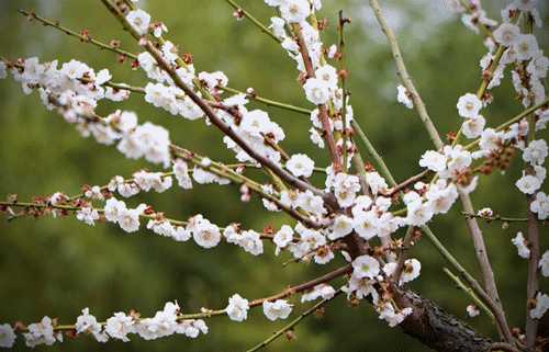 威澳门尼斯人4886