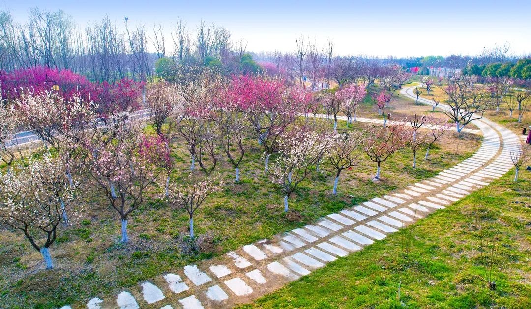 威澳门尼斯人4886