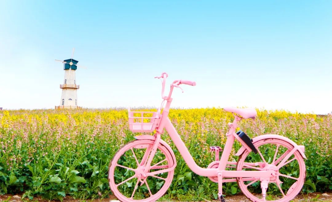 威澳门尼斯人4886