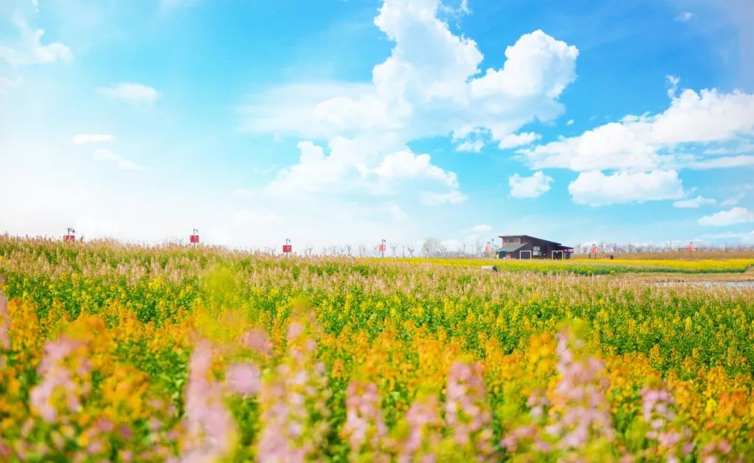 威澳门尼斯人4886