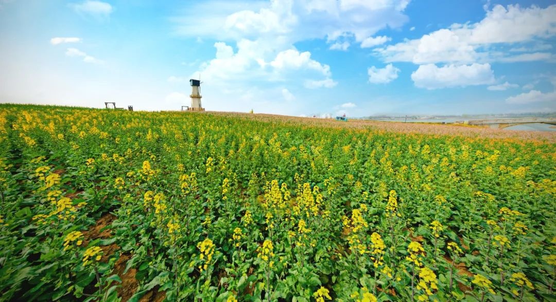 威澳门尼斯人4886