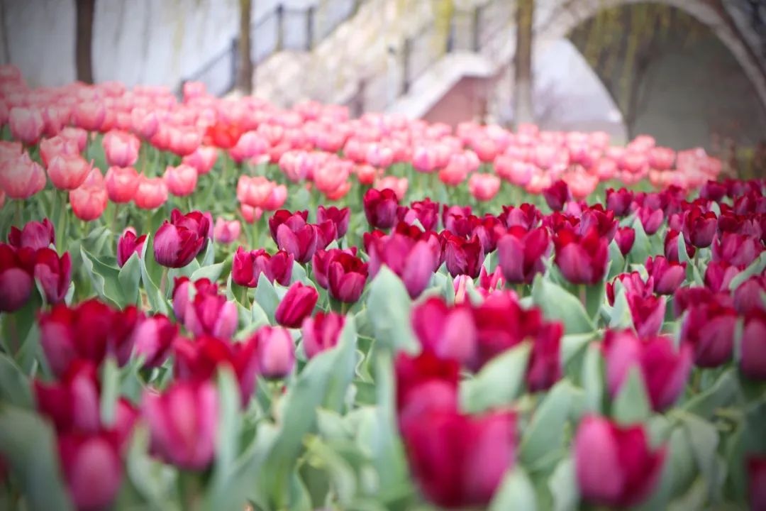 威澳门尼斯人4886