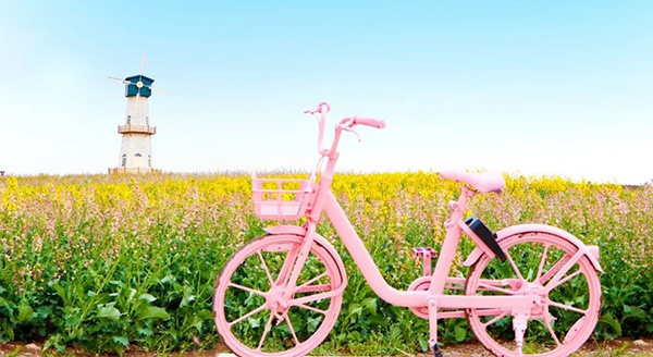 春分｜"云"赏湖畔花开，春色分你一半