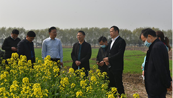 市文旅集团系统推进“十大工程”