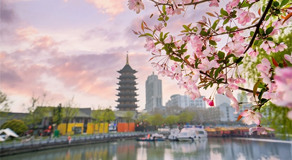 清明“云”踏青，隔屏有花香