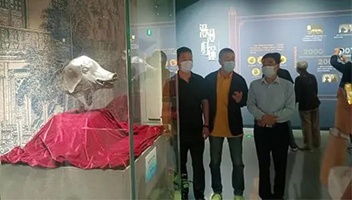 全域旅游公司赴省文物总店考察交流