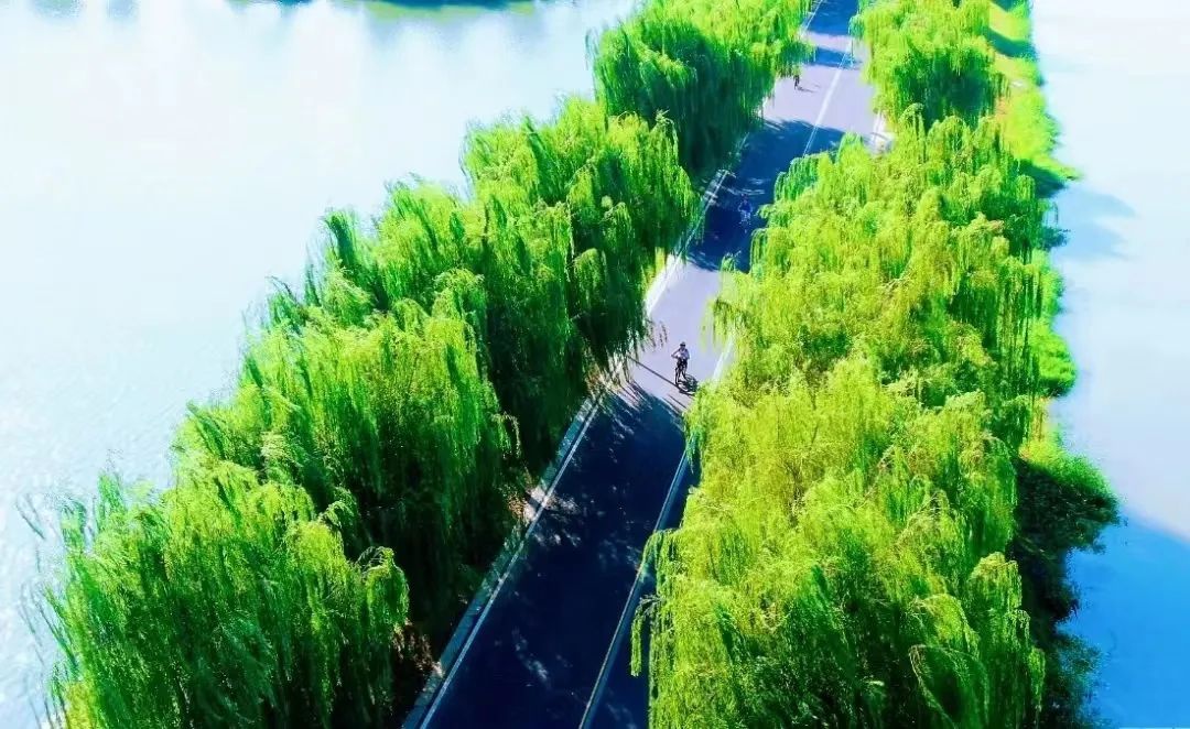 威澳门尼斯人4886