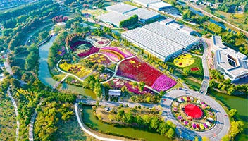 南葵北菊，一见清心