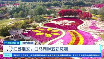 白马湖生态美景连续4年登上央视