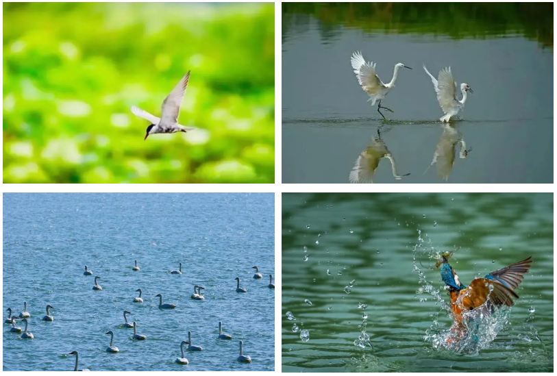 威澳门尼斯人4886