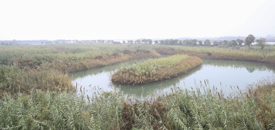 威澳门尼斯人4886