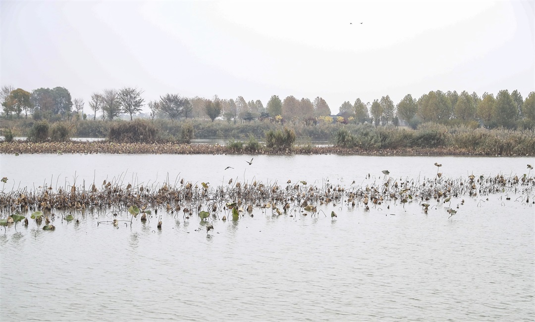 威澳门尼斯人4886