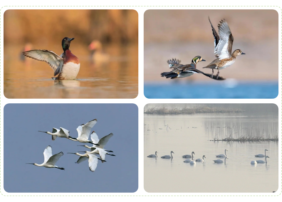 威澳门尼斯人4886