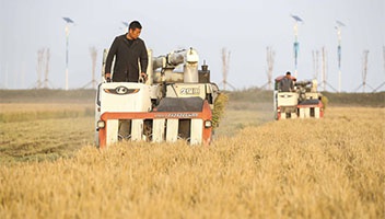 淮安白马湖：晚稻喜获丰收 弃土区变身“聚宝盆”