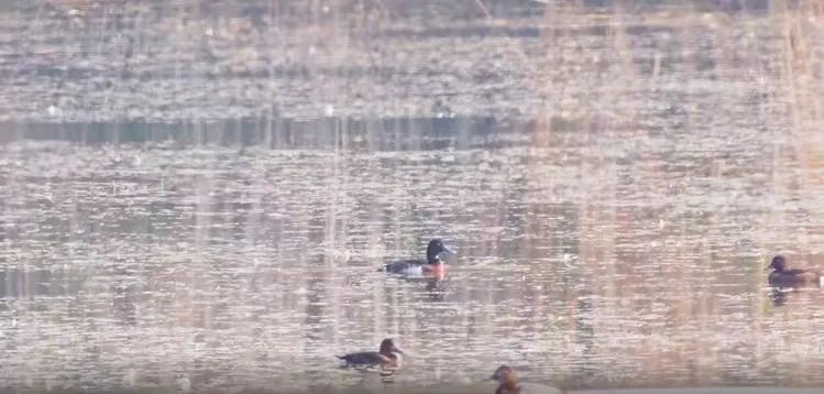 威澳门尼斯人4886