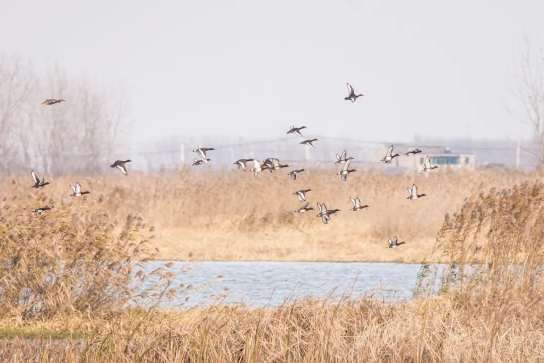 威澳门尼斯人4886
