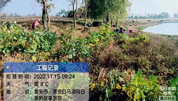 清理“一枝黄花” 保护湖区生态