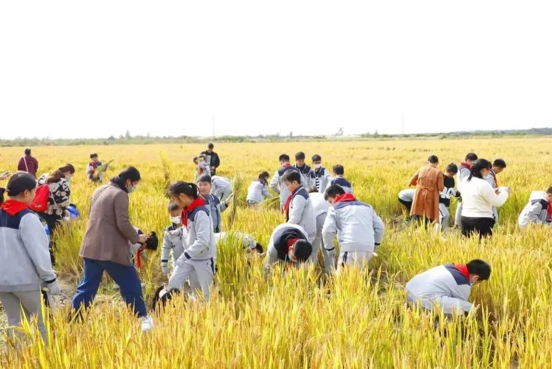 威澳门尼斯人4886