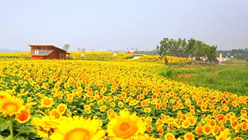 白马湖文旅公司获评“农业产业化市级龙头企业”称号