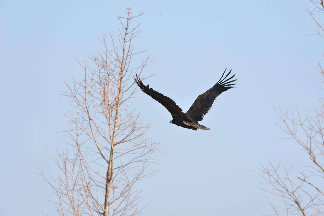 威澳门尼斯人4886