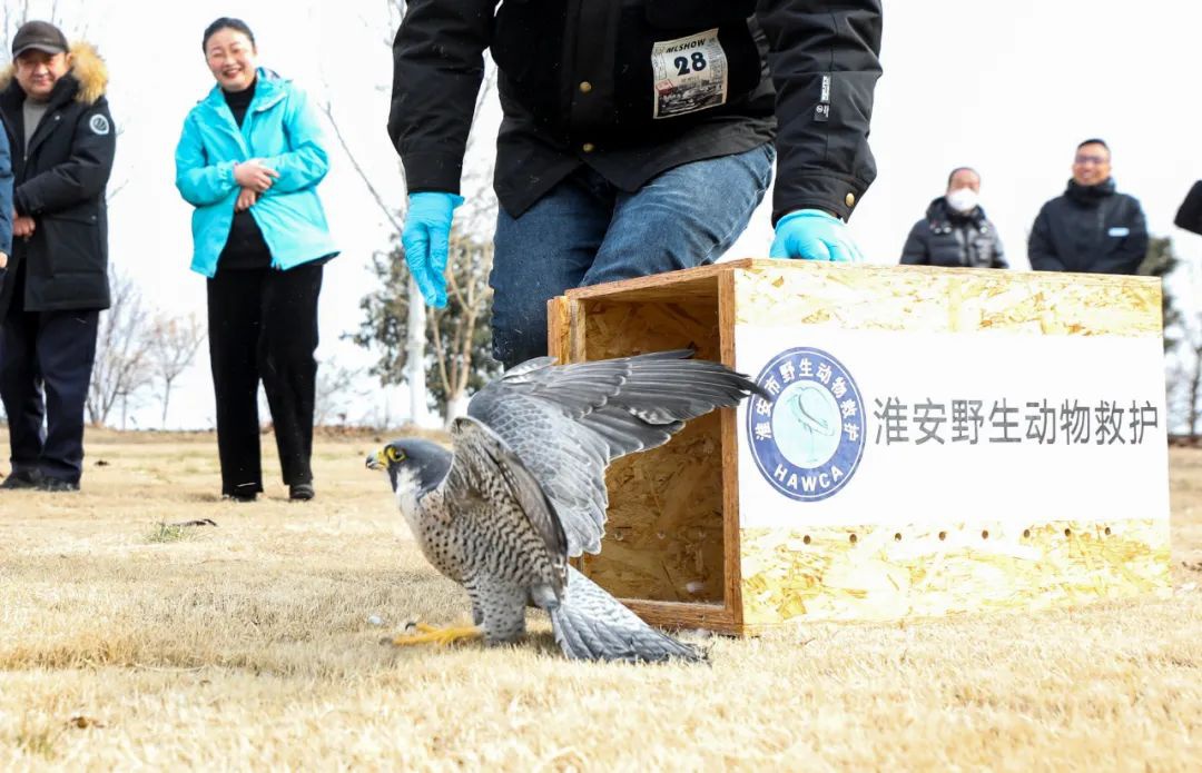 威澳门尼斯人4886