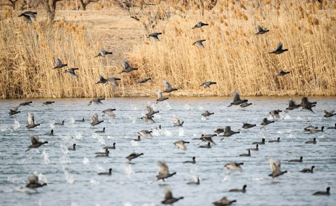 威澳门尼斯人4886