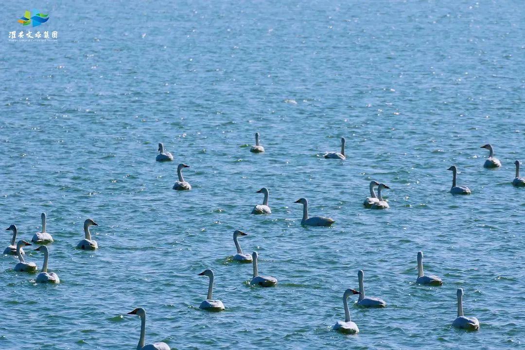 威澳门尼斯人4886