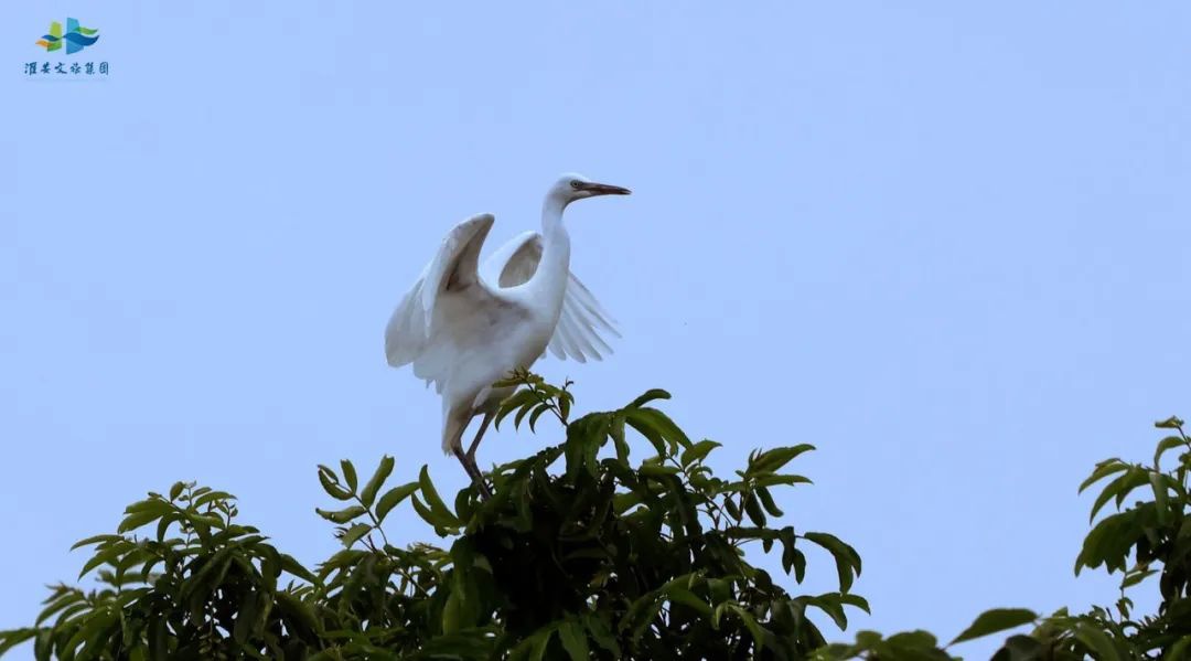 威澳门尼斯人4886