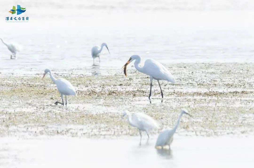 威澳门尼斯人4886