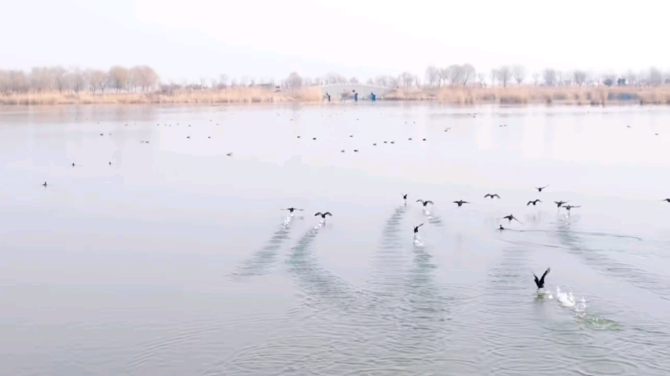 威澳门尼斯人4886