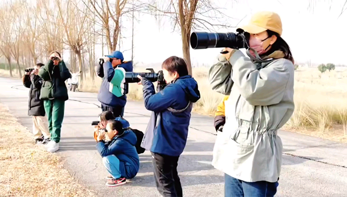 首届白马湖湿地观鸟赛成功举办