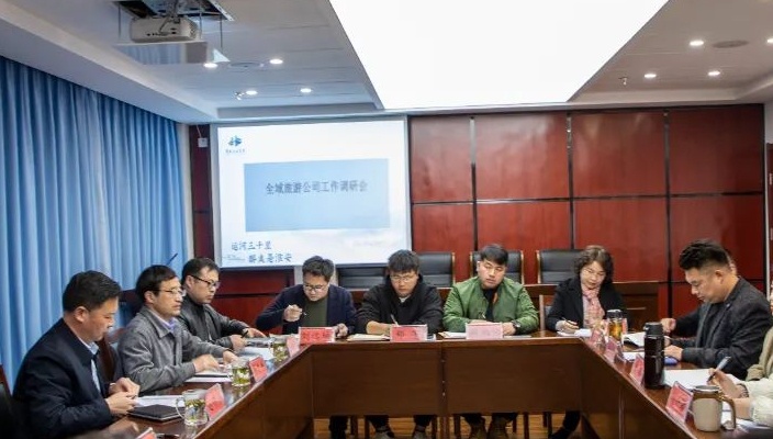 市文旅集团调研全域旅游公司