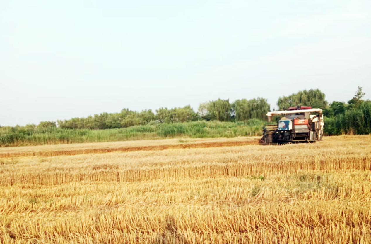 威澳门尼斯人4886